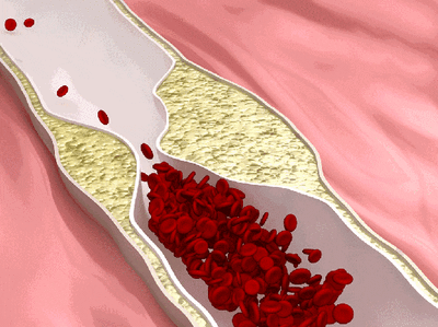 1763453461118772 DM_20251118161116_001.gif